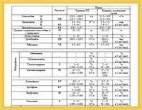 Тест на антитела к парвовирусу B19 с подлинными бланками и печатями